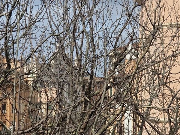 appartamento in vendita a Roma in zona Appio Latino