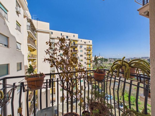 appartamento in vendita a Roma in zona Pietralata