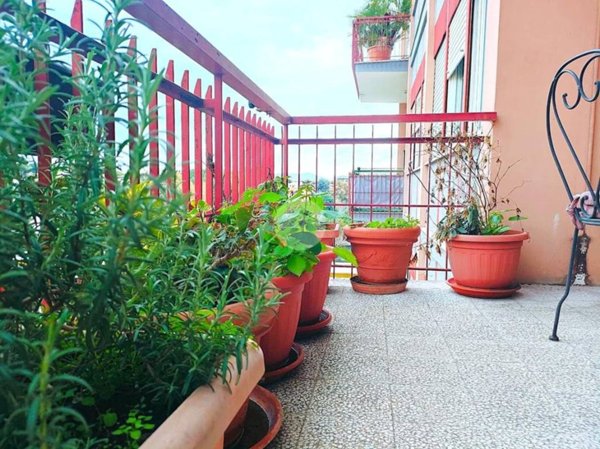 appartamento in vendita a Roma in zona Monte Sacro/Talenti