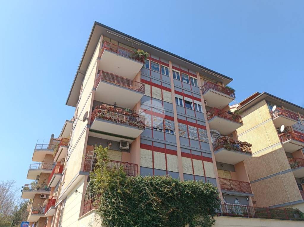 appartamento in vendita a Roma in zona Monte Sacro/Talenti
