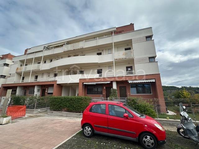 appartamento in vendita a Roma in zona Pantan Monastero