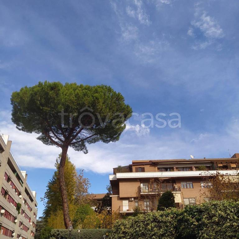 appartamento in vendita a Roma in zona Salario