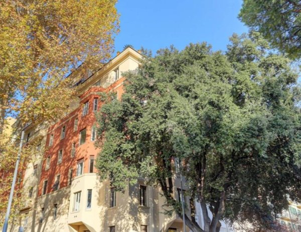 appartamento in vendita a Roma in zona Della Vittoria