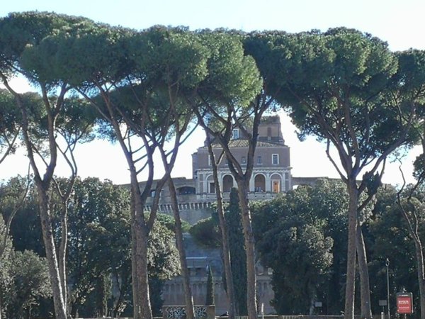 locale commerciale in vendita a Roma in zona Rione Prati