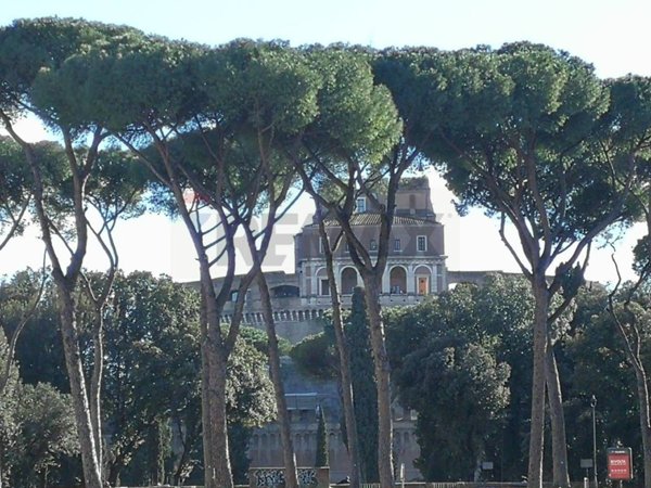 negozio in vendita a Roma in zona Rione Prati
