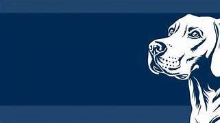 negozio in vendita a Roma in zona Della Vittoria