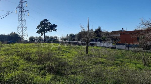 terreno agricolo in vendita a Roma in zona Massimina/Casal Lumbroso
