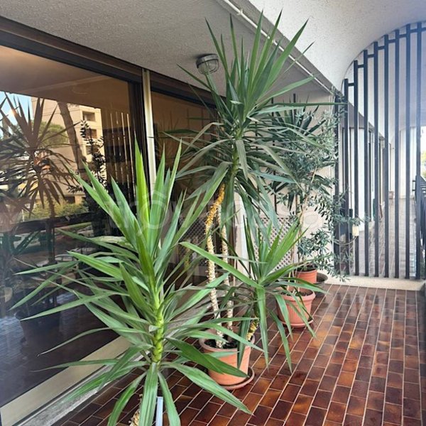 appartamento in vendita a Roma in zona EUR