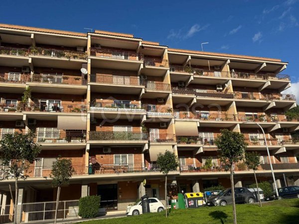 appartamento in vendita a Roma in zona Torre Maura