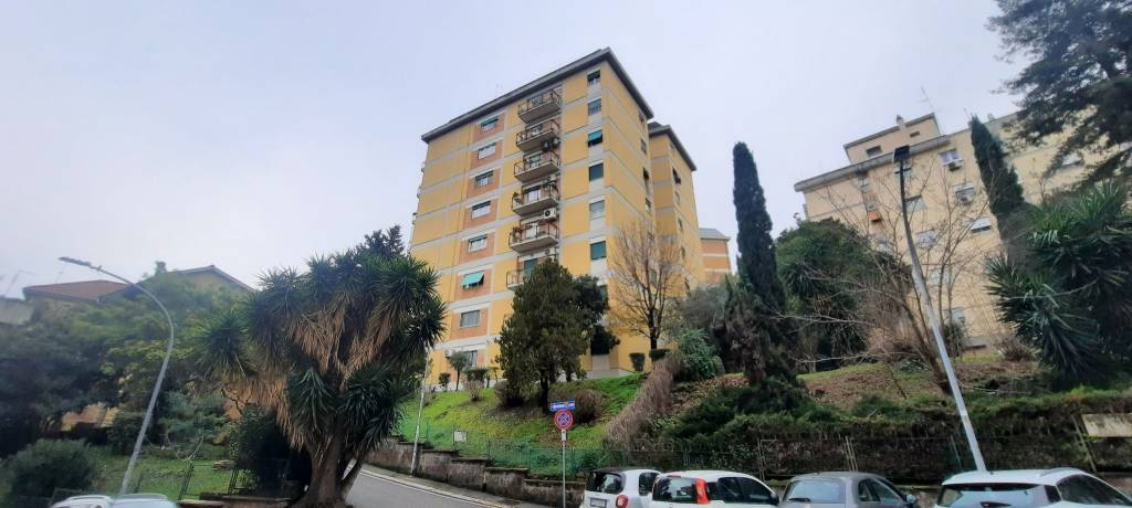 appartamento in vendita a Roma in zona Salario