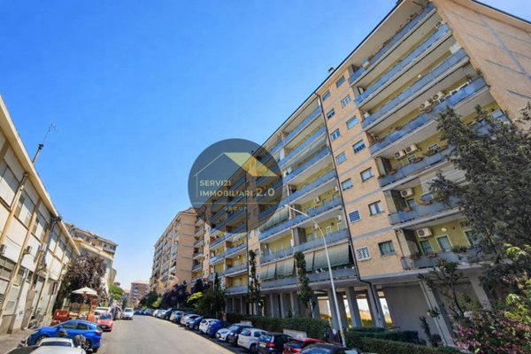 locale commerciale in vendita a Roma in zona Torre Spaccata