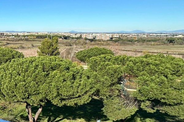 appartamento in vendita a Roma in zona Alessandrino