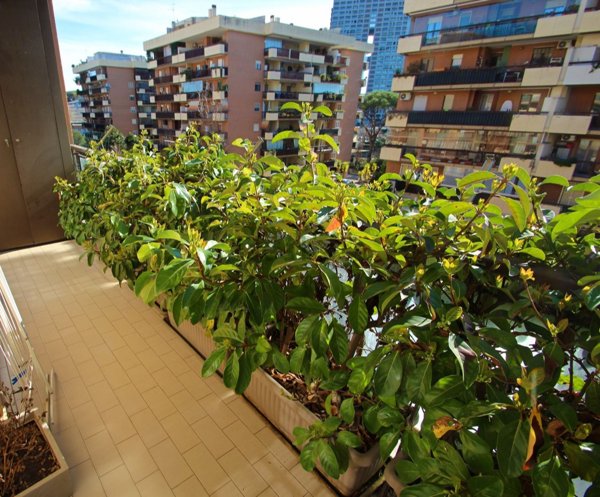 appartamento in vendita a Roma in zona Torrino