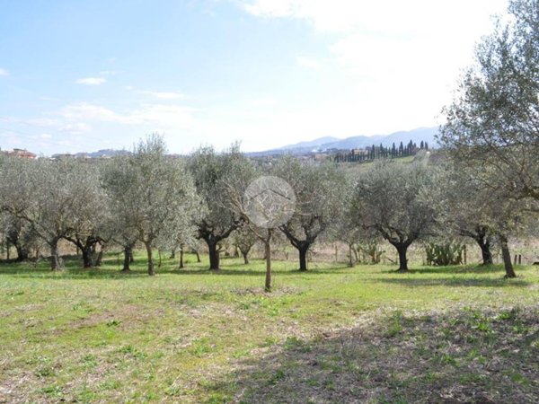 terreno agricolo in vendita a Roma in zona Borghesiana