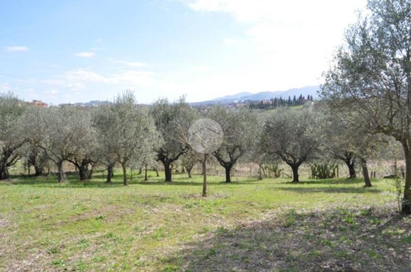 terreno agricolo in vendita a Roma in zona Finocchio