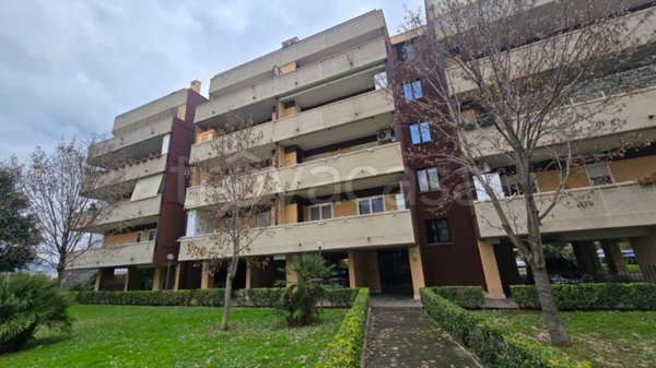 appartamento in vendita a Roma in zona Ponte di Nona
