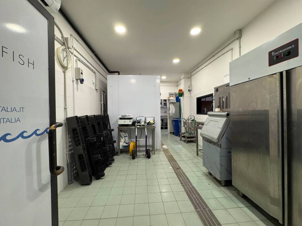 negozio in vendita a Roma in zona Trionfale