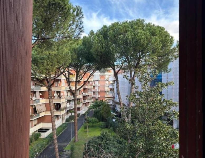 appartamento in vendita a Roma in zona Monte Sacro/Talenti