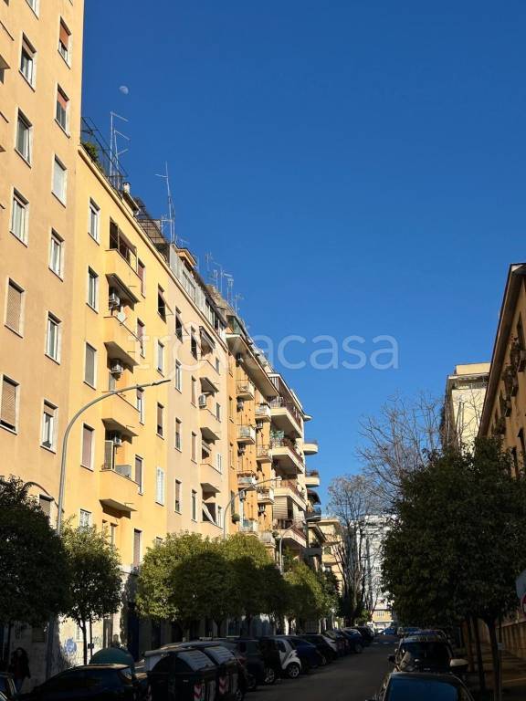 negozio in vendita a Roma