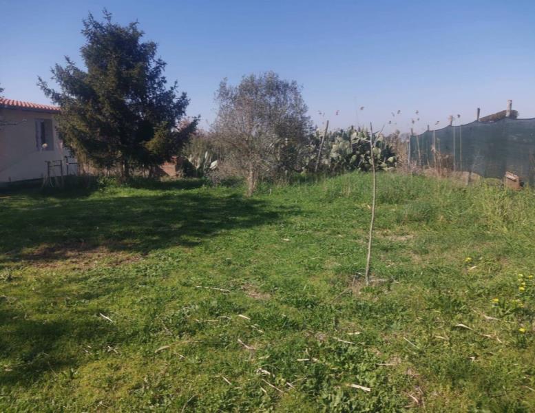casa indipendente in vendita a Roma in zona Casal Palocco
