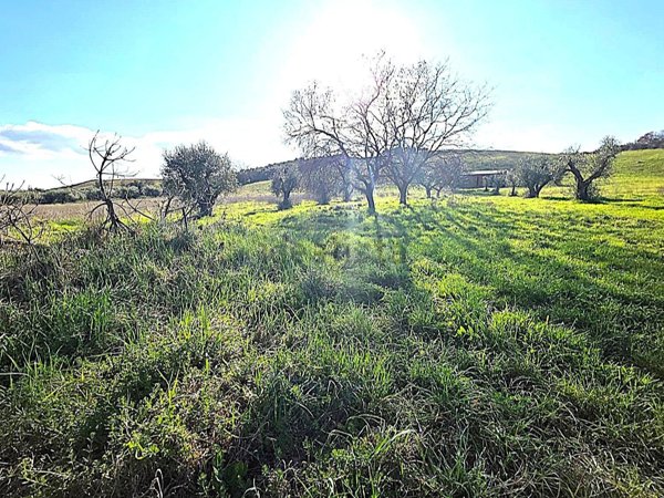 locale di sgombero in vendita a Roma in zona Cesano