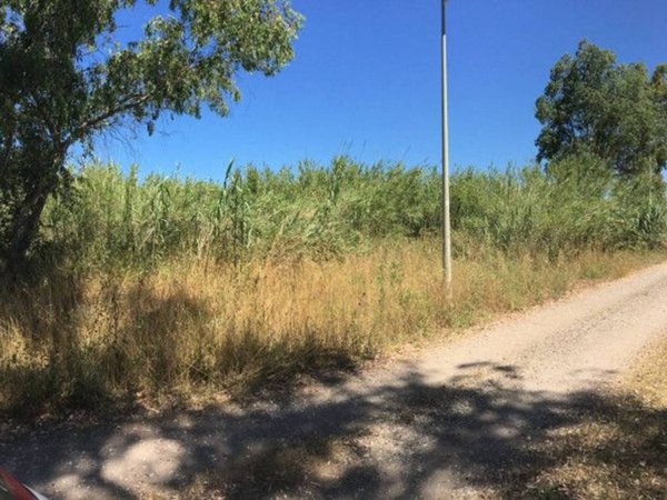 terreno agricolo in vendita a Roma in zona Infernetto