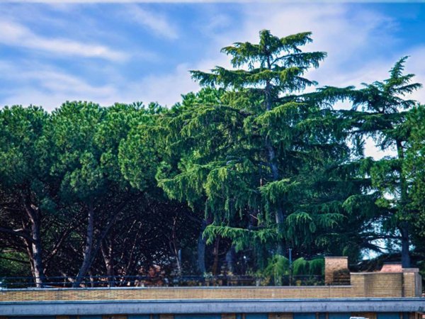 appartamento in vendita a Roma in zona Aurelio