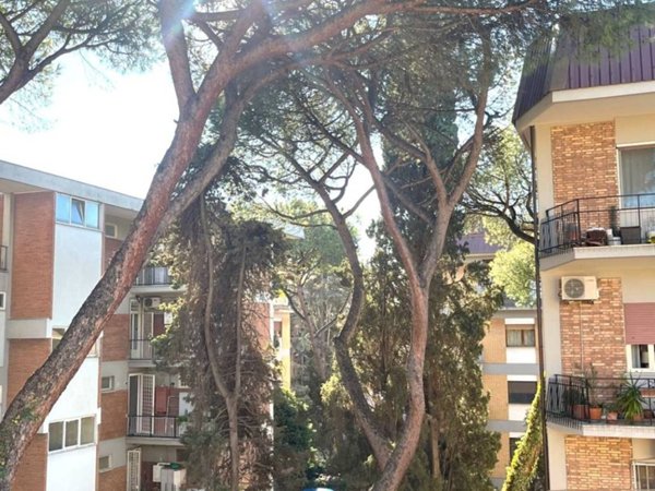 appartamento in vendita a Roma in zona Portuense
