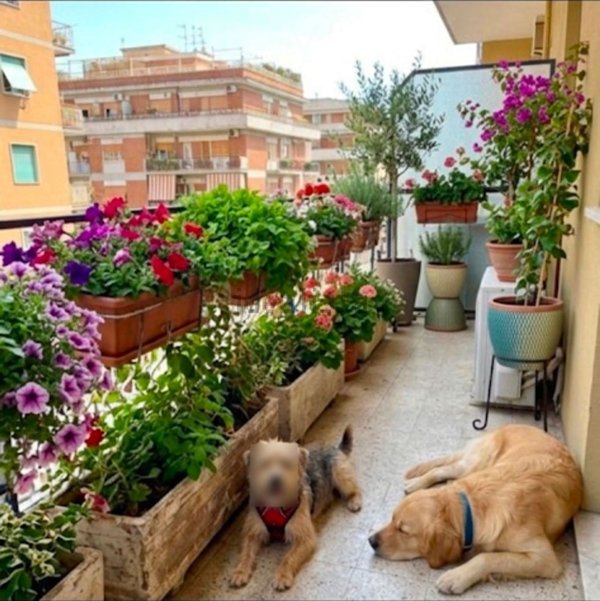 appartamento in vendita a Roma in zona Prenestino-Labicano