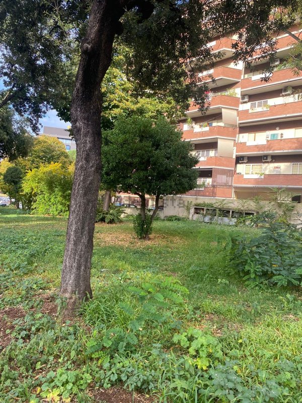 appartamento in vendita a Roma in zona EUR