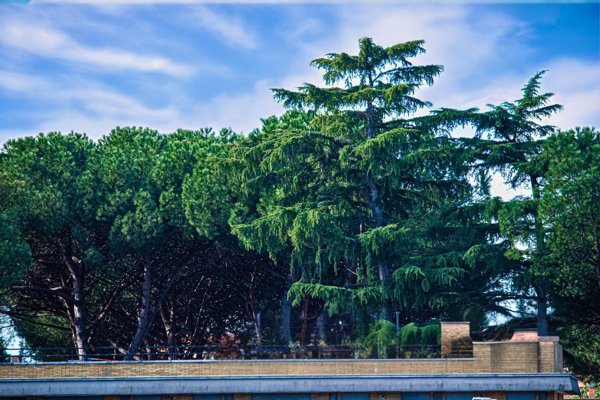 appartamento in vendita a Roma in zona Aurelio