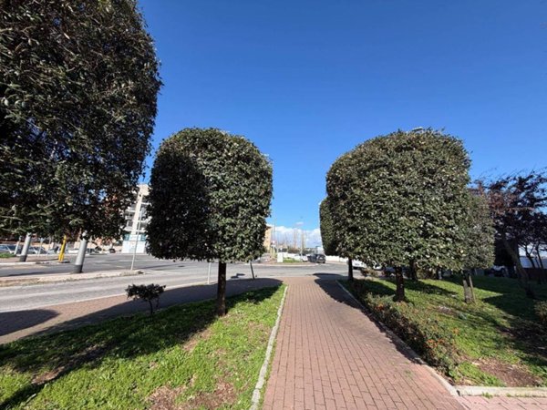 appartamento in vendita a Roma in zona Fonte Laurentina