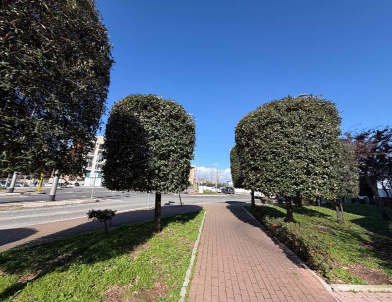 appartamento in vendita a Roma in zona Fonte Laurentina