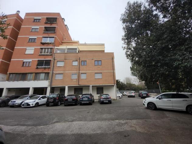 pentavano in vendita a Roma in zona Monte Sacro/Talenti