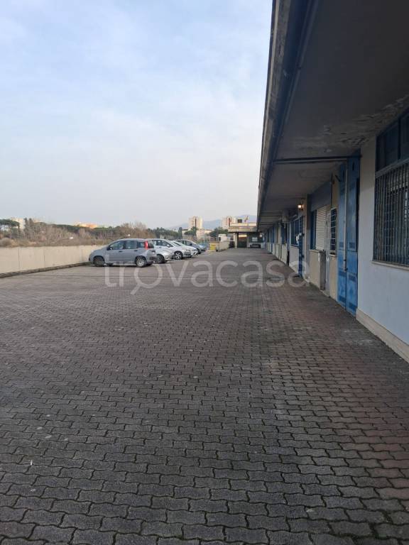 appartamento in vendita a Roma in zona Torre Angela