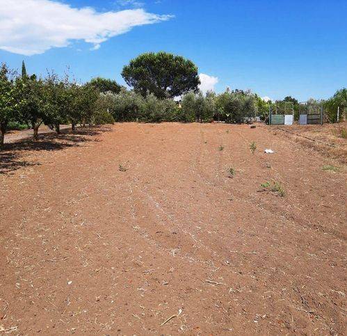 terreno agricolo in vendita a Roma in zona Pantan Monastero