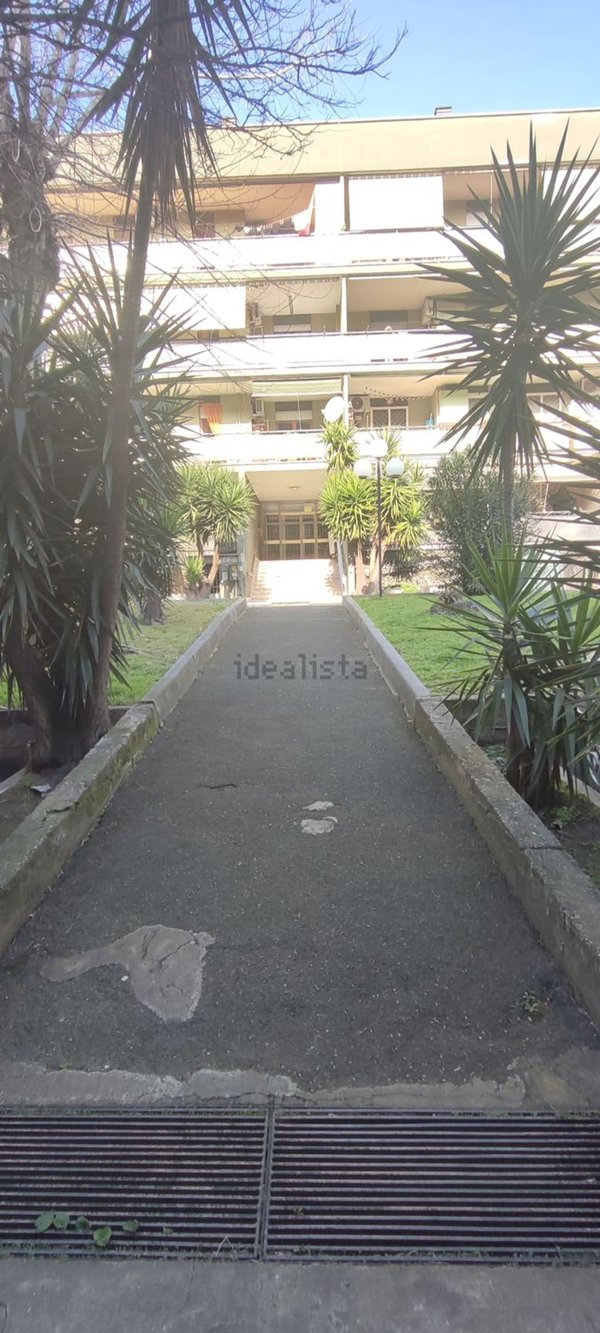 appartamento in vendita a Roma in zona Tor Bella Monaca