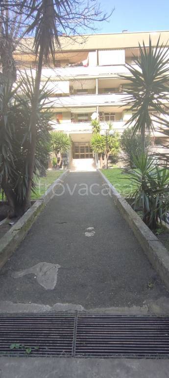 appartamento in vendita a Roma in zona Tor Bella Monaca