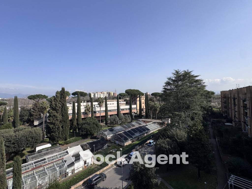 appartamento in vendita a Roma in zona Pietralata