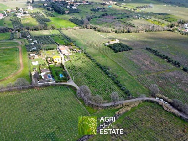 terreno agricolo in vendita a Roma in zona Trigoria