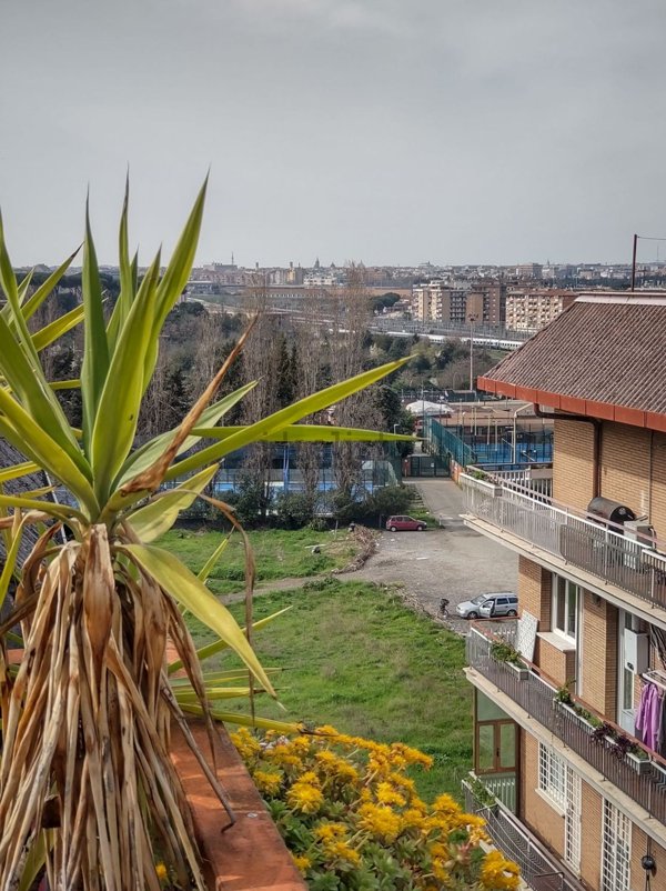 appartamento in vendita a Roma in zona Collatino