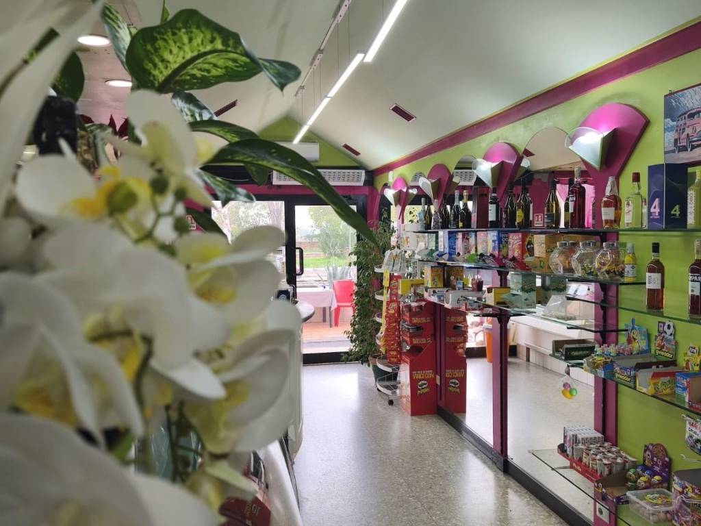 negozio in vendita a Roma in zona Tor Vergata/Torrenova