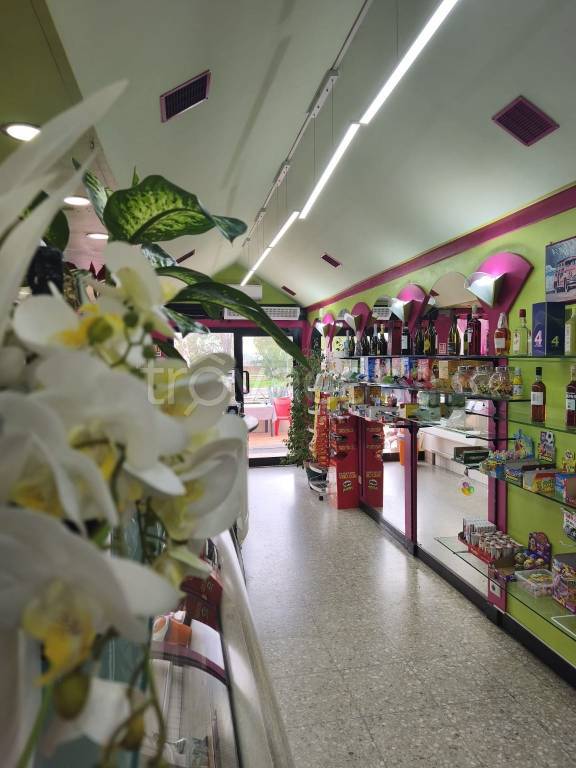 negozio in vendita a Roma in zona Tor Vergata/Torrenova