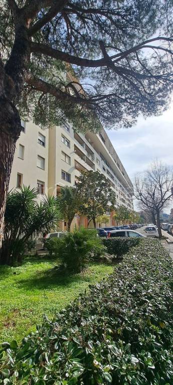 appartamento in vendita a Roma in zona EUR
