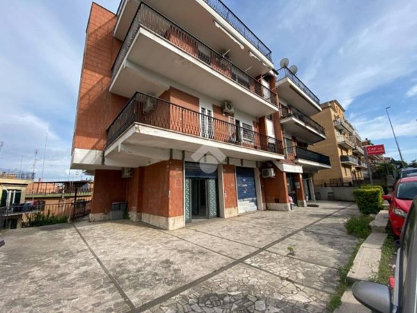 negozio in vendita a Roma in zona Trionfale