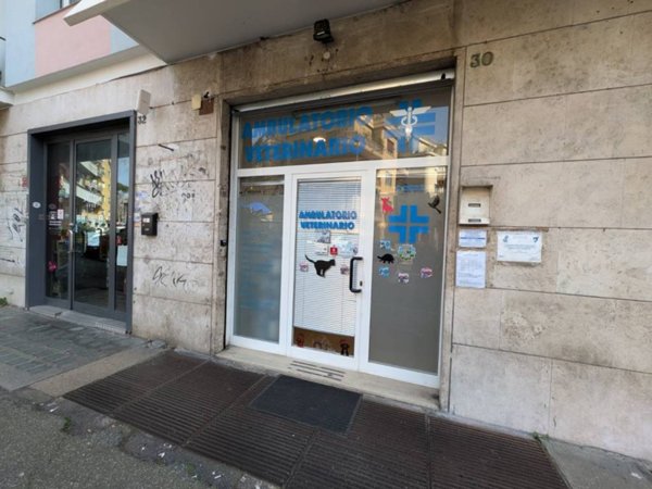 casa indipendente in vendita a Roma in zona Trieste