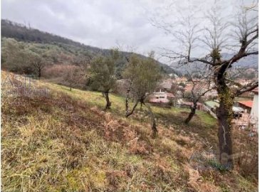 terreno edificabile in vendita a Roma in zona Appio Latino