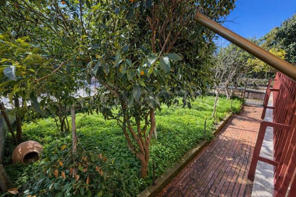 appartamento in vendita a Roma in zona Acilia