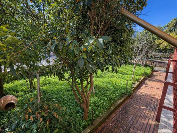 appartamento in vendita a Roma in zona Acilia