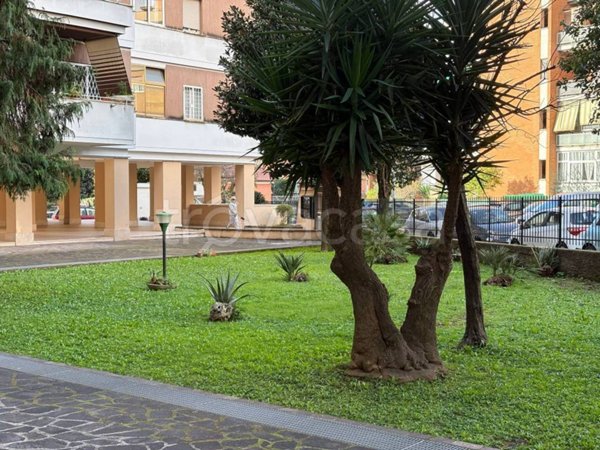 appartamento in vendita a Roma in zona Primavalle